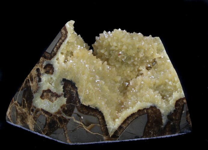 Calcite Crystal Filled Septarian Geode - Utah #37236
